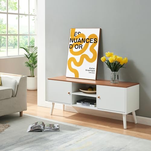 [en.casa] Meuble TV Banc Télévision Armoire Basse avec 2 Compartiments Ouverts 2 Portes de Placard Design Intemporel MDF Bois de Pin 120 x 35 x 50 cm Blanc...
