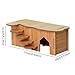 MotiveTech Hamster Shelter with Climbing Access for Small Pets, Polygonal Hole