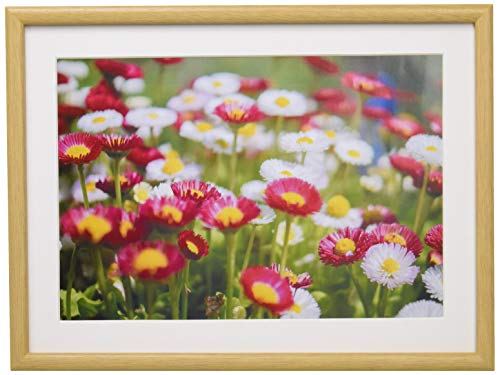 FUJICOLOR �ؐ��z�� M20 A4 �ؒn 407833