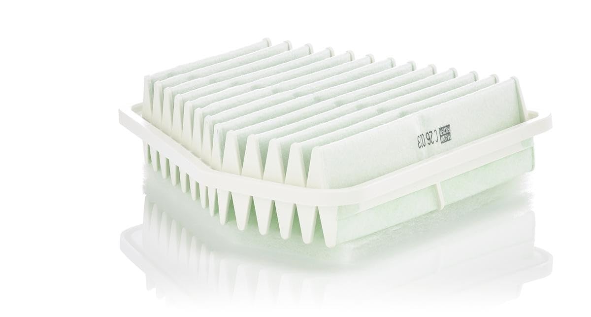 MANN-FILTER C 26 003 Air Filter - for Cars + Transporters