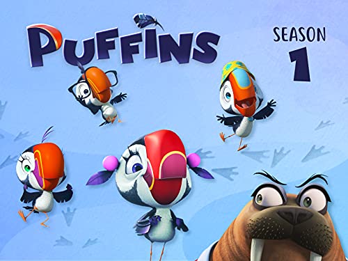  Clip: Puffins
