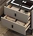 Smart Bedside Table with USB & Wireless Charging, Fingerprint Lock, LED Light Backlight, and Storage Drawer, Modern Nightstand for Bedroom, Living Room, Office (50x40x46cm, Gray)