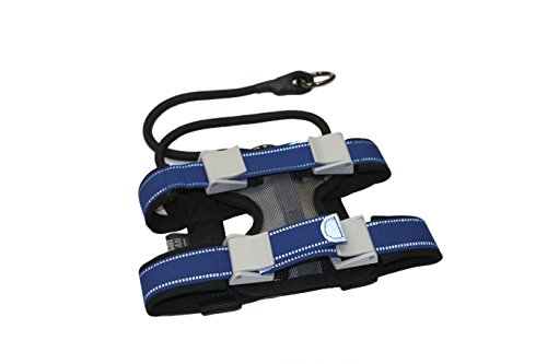 Cesar Millan Pack Leader Collar - Trainingshalsband des Hundeflüsterers