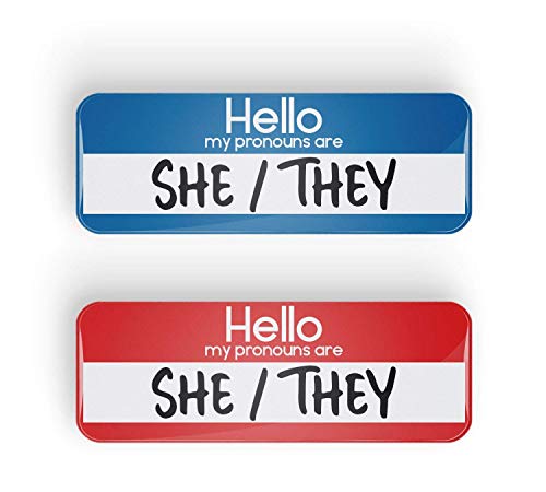 HELLO MY PRONOUNS ARE SHE/THEY distintivo pin pronome, 25x70mm, LGBTQ+, LGBT