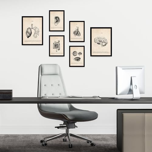 Illustrations médicales vintage Nacnic affiches anatomie haut de gamme en A4 et A3
