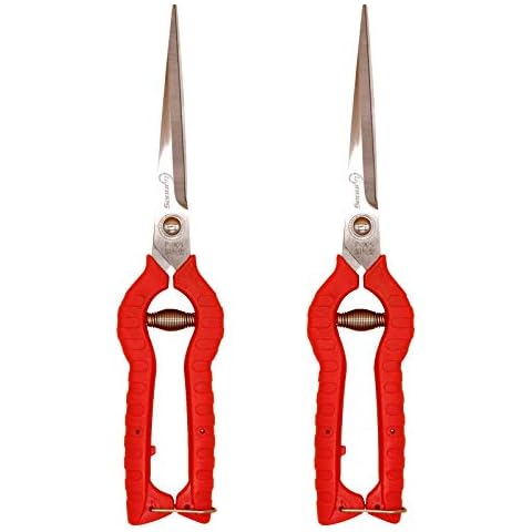 Sanung 2 PACK Multifunctional Thin Fruit Scissors, P-905 Garden Pruner Shears Cutters with Anti-Slip Grip High-Grade Spring Lock Garden Pruner for Garden Fruits Vegetables Plants Flowers Cover