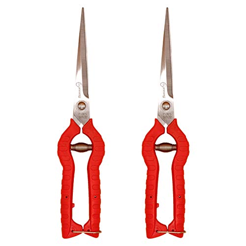 Sanung 2 PACK Multifunctional Thin Fruit Scissors, P-905 Garden Pruner Shears Cutters with Anti-Slip Grip High-Grade Spring Lock Garden Pruner for Garden Fruits Vegetables Plants Flowers