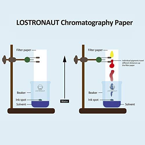 Lostronaut 100CHROPPRGRD1 100 Chromatography Paper Strips - Highest Quality Grade 1 Filter Paper - For Pigment Separation And Science Experiment For Chemistry, Laboratories thumb #4