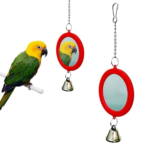 CR     t ݉ IE ~[ ߋ  ߋ V XgX   I` ZLZCCR ybgpi o[hgC (bh)