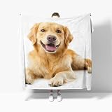 golden retriever adopción madrid 【El regalo perfecto】 Ya sea una manta para cama, manta de sofá o una frazada decorativa, este producto es perfecto como regalo para mujeres, hombres, niños y adolescentes. Ideal para cumpleaños, Navidad, Día de la Madre o como detalle para cualquier ocasión especial