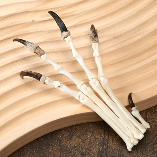 Image of 1PCS Handmade Copper Wire for Making Fox paw specimens, Collecting Gift Bone specimens Ornament