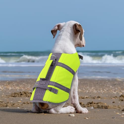 Queenmore Hundeschwimmweste Große Hunde, Ripstop Schwimmweste Hund, Verstellbare Hunde Schwimmwest Mit Griff, Reflektierende Schwimmweste Französische Bulldogge, Kajak Bootfahren, Grün, L