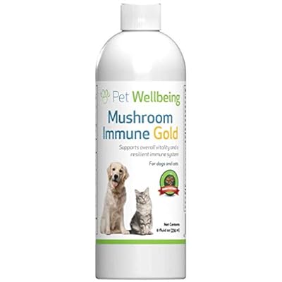 Pet Wellbeing Mushroom Immune Gold - Potent Complementary, Alternative Health Support For Immunocompromised Dogs And Cats - 8oz