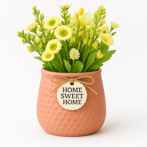 Image of Yo Green Ceramic Plant Pot for Indoor & Outdoor, Modern Planter for Home & Office Decor, Durable, Stylish Finish, Ideal for Tabletop, Shelf, Balcony, Great Gift Idea (Peach, 4 Inches)