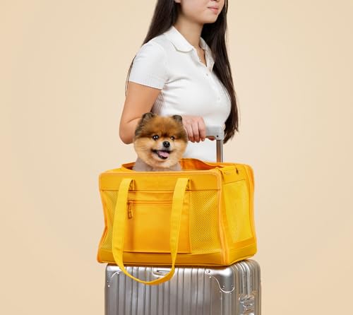 OSKAR&FRIENDS Airline-Approved Pet Carrier for Small Dogs & Cats (Up to 20 lbs) – Soft-Sided Travel Carrier with Luggage Strap, Cozy Sherpa Pad, Mesh Panels & Safety Tether