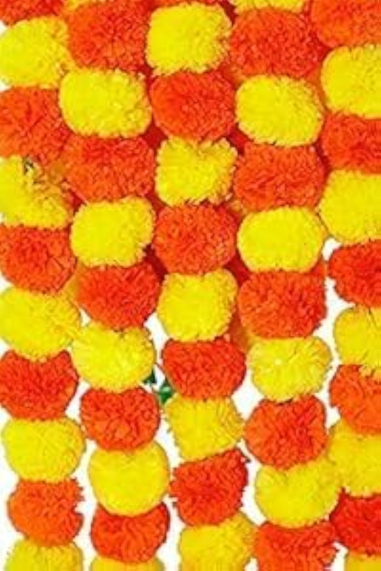 Backdrop Setup for Mehndi, Haldi, and Marriage Ceremonies