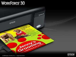 Epson WorkForce 30 Color Printer