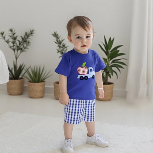 Toddler Baby Boy Back to School Outfits Apple Embroidery Short Sleeves T-Shirt Elastic Plaid Shorts Set 2Pcs Summer3