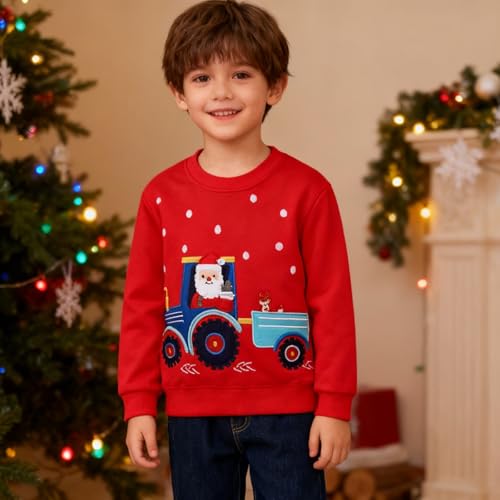 Image of Hongshilian Unisex Kids Cute Cartoon Cotton Sweater Shirt