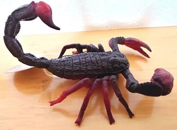  ぬいぐるみ　Simon Scorpion サソリ　蠍 ぬいぐるみ Simon Scorpion サソリ 蠍 512nWdgvF4L._UF894