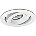 Nora Lighting NL-467WW Surface Adjustable Gimbal Recessed