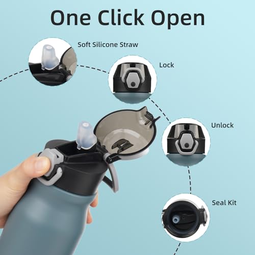 Image of BJPKPK 25 oz Insulated Water Bottle, Straw, Handle, Stainless Steel Flask | Leak Proof Locking Lid, Thermal, Double Wall Vacuum, Keeps Hot /Cold, BPA Free, Dishwasher Safe, Travel & Sports, Dark Grey
