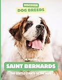  Saint Bernards: The Gentle Giants of the Alps