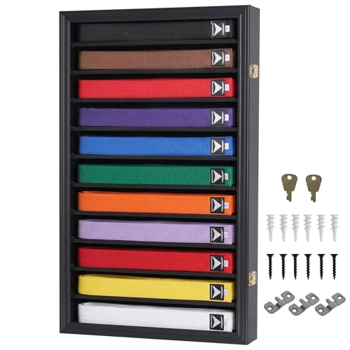 DisplayGifts Martial Art Karate Taekwondo Belt Acrylic Door Display Case Rack Wall Cabinet with Door Prevent Dust Black