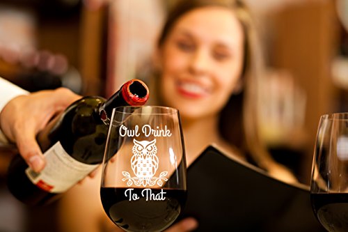 Owl Drink To That Funny 15 Ounce Stemless Wine Glass | Perfect Birthday Owl Themed Gift For Men Or Women | Owls Kitchen Decor And Decorations | Unique Owl Housewarming Gifts #TOP4