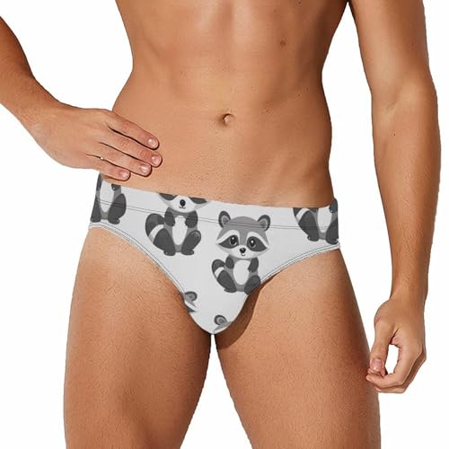 Gray Raccoons Pattern Mens Swim Briefs Bikini Sexy Low Rise Trunks Swimsuit Bathing Suit Beach