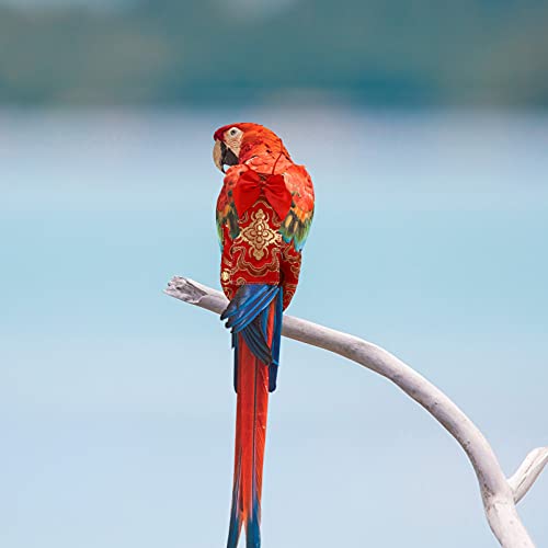 ULTECHNOVO-Bird-Parrot-Suit-Nappy-with-Bow-Red-Pet-Clothes-for-Parakeets-Cockatiels-Conures-Finches-Lovebird-L
