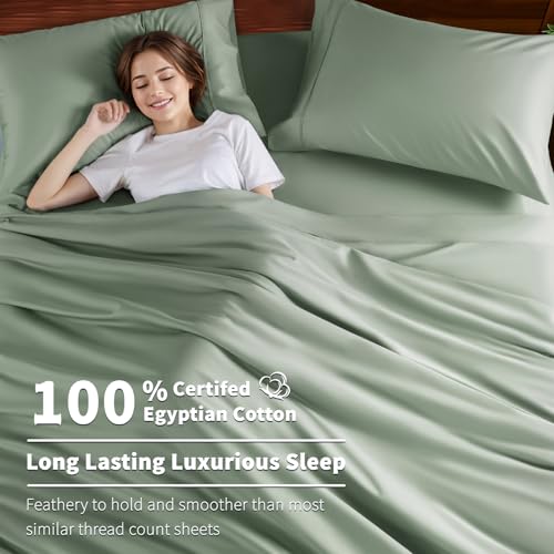 image for Shilucheng 100% Cotton Queen Size Sheets Set - 600 Thread Count，Luxu