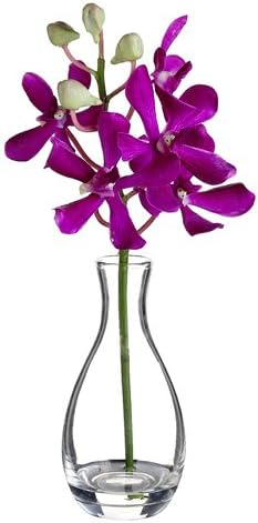 Silk Plants Direct Spider Vanda Orchid (Pack of 4)