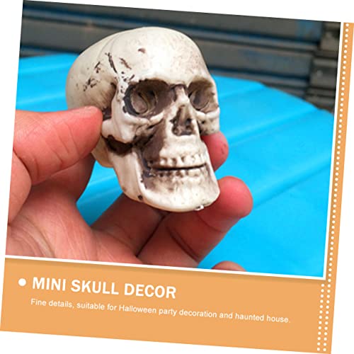 Décor de crâne en résine sculptée ornements de collection RLKHXBS - 5