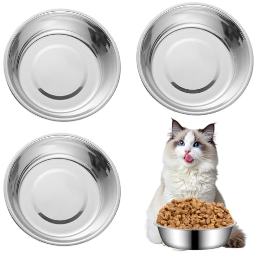 BLMHTWO 3 ciotole per gatti in acciaio inox rialzate con ciotole per gatti in metallo in acciaio inossidabile ciotole per cibo per gatti ciotole per animali domestici per gatti, cuccioli e animali