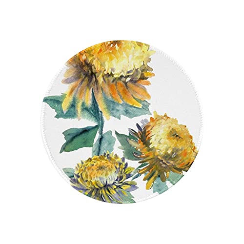 }EXpbh ی^ e  J  h ~ S Q[~O}EXpbh m[gp\R PC Eh}EXpbh fXN}bg ϋvǂ ItBXp rWlXp ƒp Q[p ~` 20cm