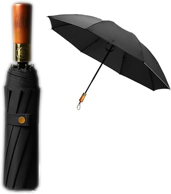 10 Ribs Folding Umbrella Windproof Portable Waterproof Compact Umbrella with Auto Open and Close for Travel Outdoor Golfing