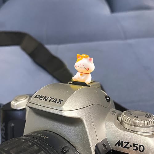 Image of Camera Hot Shoe Cover, Cute Hot Shoe Cap, Hot Shoe Protector Compatible with Sony Fujifilm Fuji Canon Nikon Pentax Leical Panasonic (Lucky Cat)
