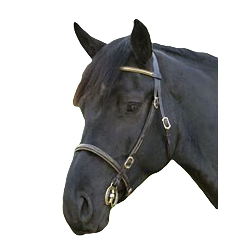 Shires Velociti GARA Clincher Inhand Bridle Pony Black