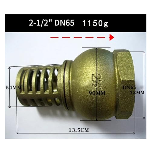 Clapet de crépine 2"1/2 BSPP en laiton pour pompe à eau - 3