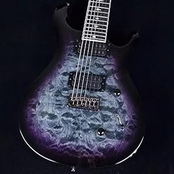PRS SE Mark Holcomb SVN, Holcomb Burst - Les Beatles, Paul McCartney, John Lennon, RIngo Starr, George Harrison