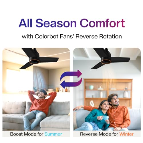 Image of Colorbot Prizma BLDC Ceiling Fans 900mm | BEE 5 Star Rated 850 RPM | Savings up to 67% | Remote Control (Boost, Timer, Reverse Mode) | 4 Years Warranty | Charcoal Black (New Launch)