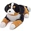 Bernese-100cm