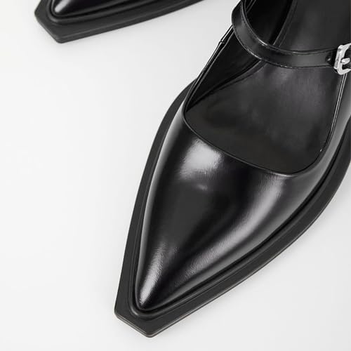 Wide Welt Mary Jane Pumps for Women Pointed Toe Buckle Strap Mary Janes Chunky Heeled Flats Comfort Casual Block Heel Shoes2