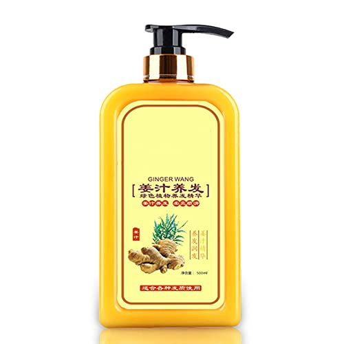 Qingting Ginaday Instant Ginger Hair Regrowth Shampoo, 17.6Oz Ginger Shampoo For Hair Growth, Ginger Hair Care Shampoo, Anti-Hair Loss Hair Shampoo (1Pc), 17.6 Fl Oz (Pack Of 1) #TOP1