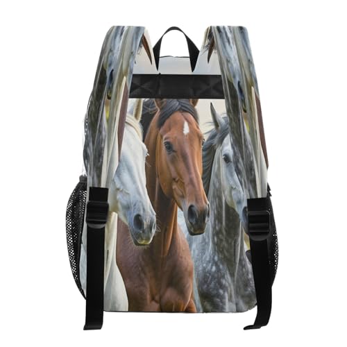 Mochila transparente de caballos aprobada para estadios que soluciona filas en seguridad 3