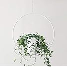 RISEON Gold Hanging Flower Plant Pot,Gold Metal Basket Planter Holder,Modern Plant Hanger Metal Hanging Planter for Indoor Outdoor Home Decor (White)