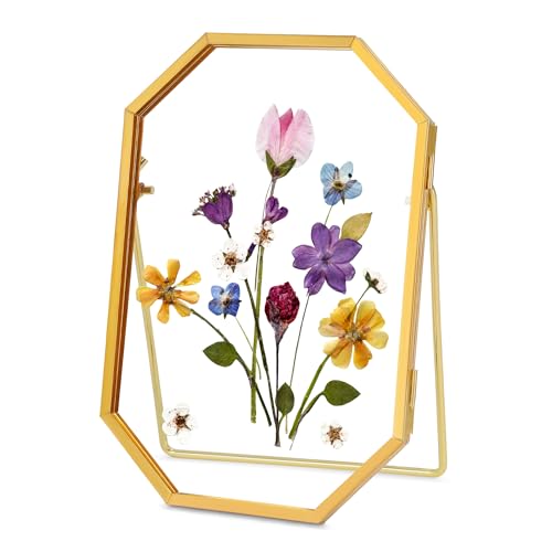 REDHUGO Glass Pressed Flower Frame Handmade Octagon 4x6 inches Gold