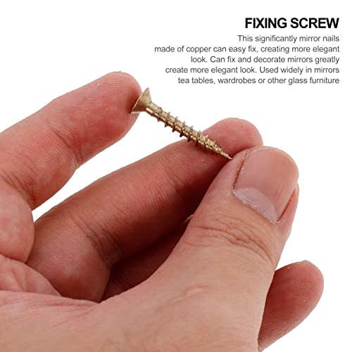 POPETPOP 8pcs Copper Mirror Nails for Flat Advertising Decorative Screws Caps Heavy-Duty Self-Drilling Fasteners for Furniture and Wall Art Decor Polished Finish miniatura 5