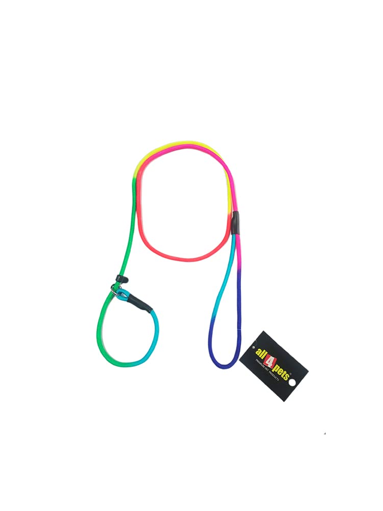 All4pets Nylon Coloured Show Leash for Dogs 8 mm (B09NRKLLXK) Amazon Price History, Amazon Price Tracker